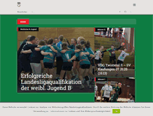 Tablet Screenshot of hsg-aktuell.de
